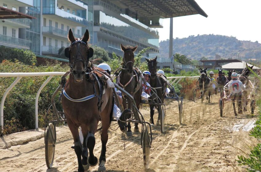  Ippica: Trotto, domani fra Tris e Trofeo Regioni d’Italia al “Mediterraneo”