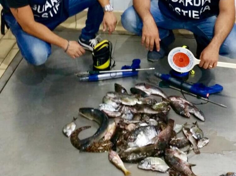  Siracusa. Pescatori di frodo in area marina protetta: sequestrati 7 chili di pesce e fucili