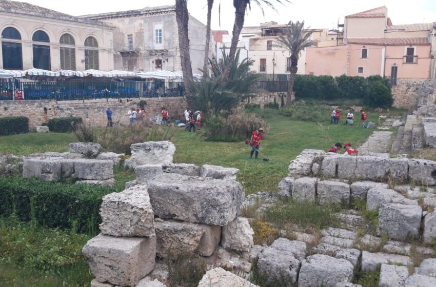  Siracusa. Tempio di Apollo, finalmente il diserbo: “richiamati” i volontari di Nuova Acropoli