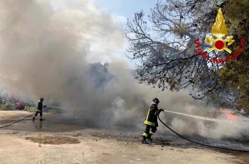  Fiamme a Solarino, Città Giardino e Siracusa: inizia la stagione degli incendi