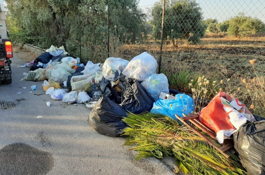  Siracusa. Porta a porta nelle contrade marinare, ad ottobre via i cassonetti su strada