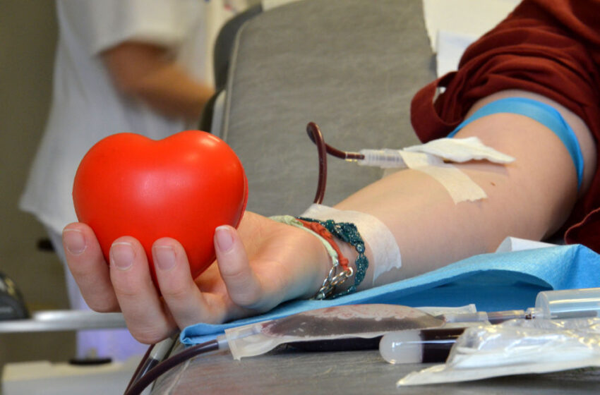  "Riconoscere il valore sociale della donazione di sangue", disegno di legge in Regione