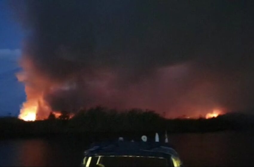  VIDEO. Le prime immagini del vasto incendio nella riserva Saline