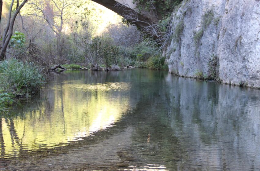  Pantalica Val d’Anapo e Cavagrande: riserve naturali straordinarie ma non valorizzate