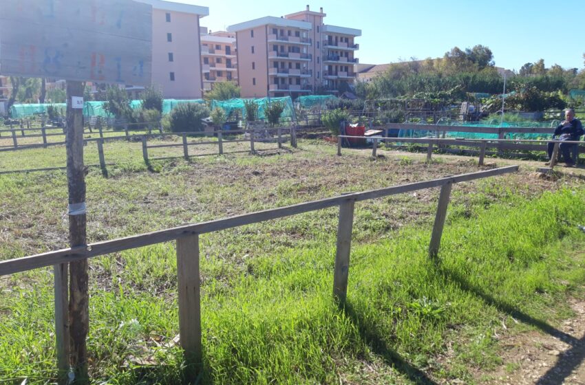  A Priolo nascono gli orti sociali: terreni ai cittadini per coltivare frutta e verdura