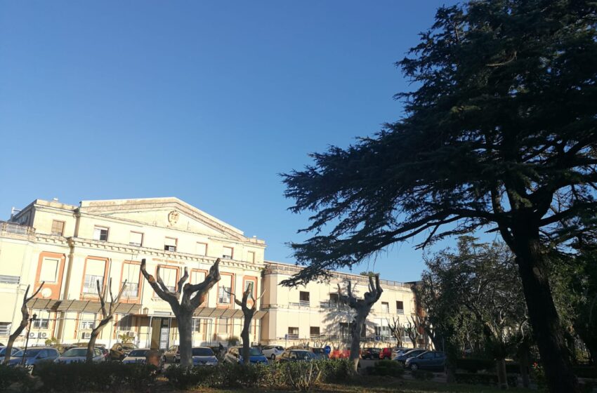  Siracusa. Parco dell’ospedale Rizza, alberi abbattuti e capitozzature: e i vincoli?