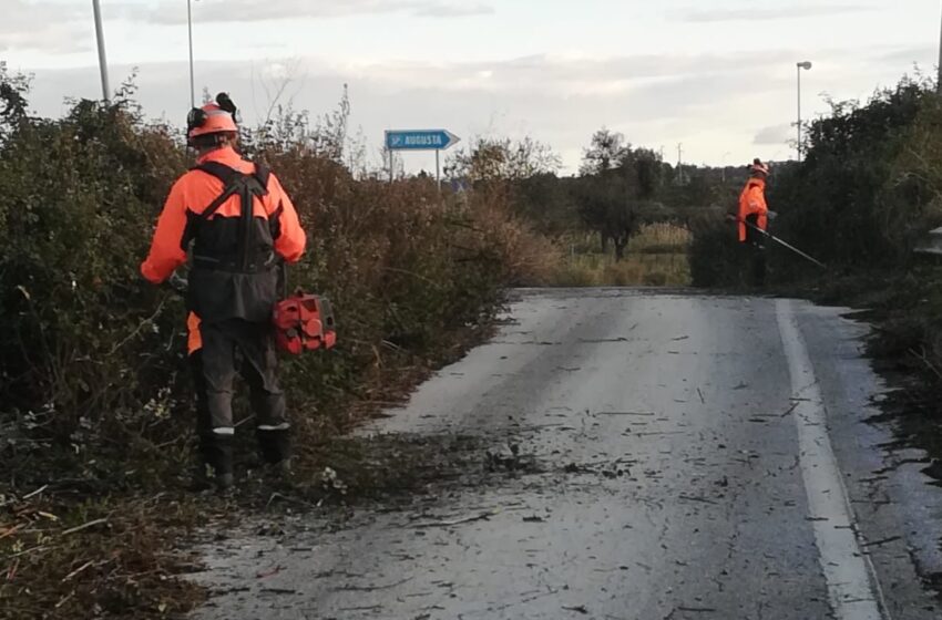  Diserbo sulle strade, forestali in azione sulla provinciale 193: “Subito stabilizzazione”