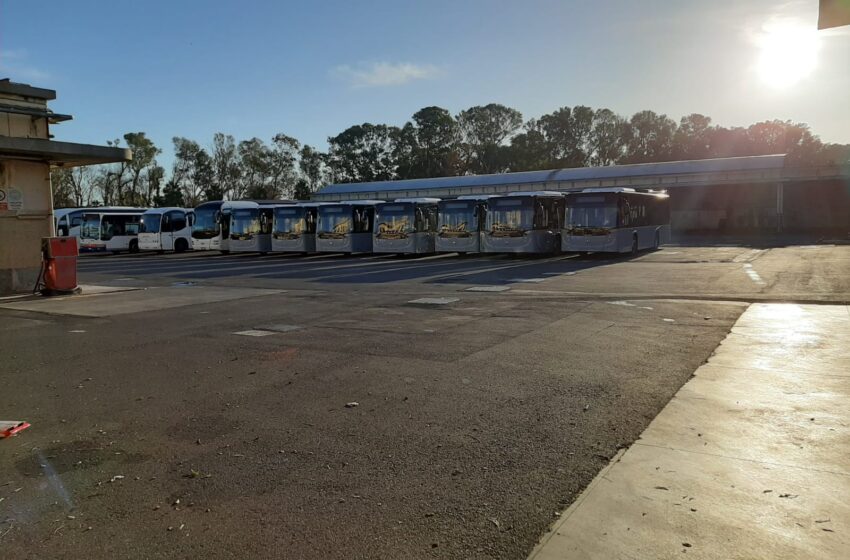  Siracusa. Sette nuovi autobus per l’Ast, rinforzi per le linee urbane: corsa pure a Tivoli
