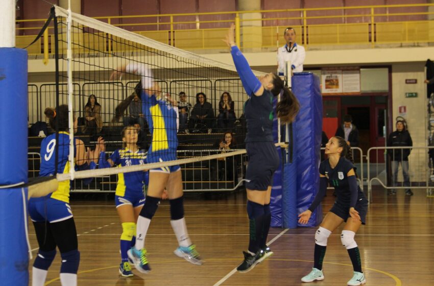  Volley. Ottimismo in casa Eurialo, Cianflone: “Con il Comiso pronte a dare il massimo”