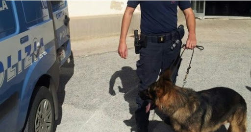  Controlli antidroga in via Algeri, blitz sul terrazzo della palazzina: arrestato un 26enne