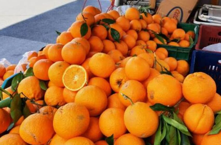  Siracusa. Commercio abusivo di agrumi, sequestrata una tonnellata di arance