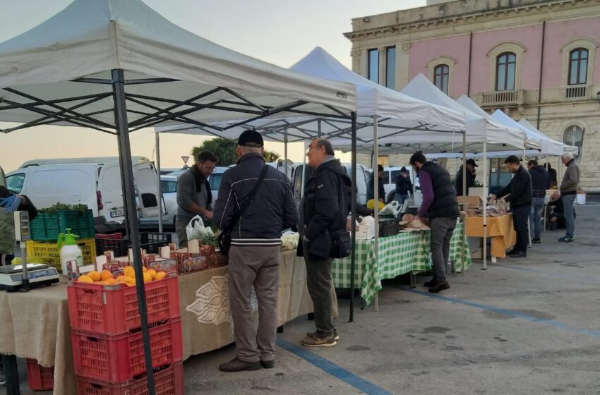  Siracusa. Il mercato del contadino di Ortigia trova "casa": esordio in Riva Nazario Sauro