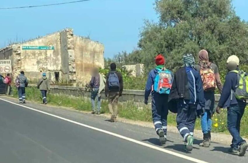  La protesta di Cassibile, tende in piazza Saitta: "stanchi della baraccopoli, intervenite"