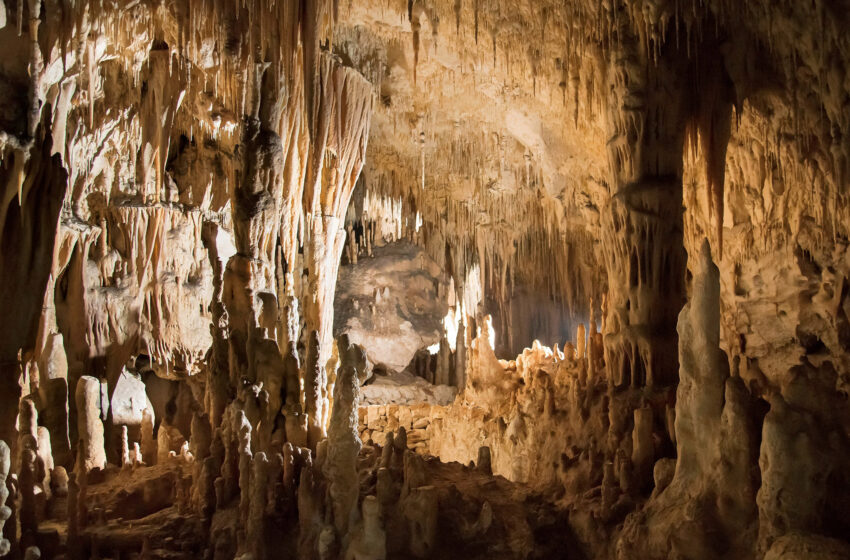  Carsismo, da Vendicari alle grotte siracusane: in Sicilia cento scienziati da dieci Paesi