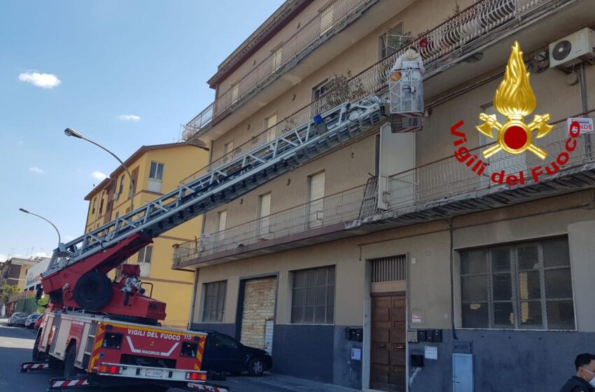  Invasione di api nel siracusano, condomini "assediati": intervengono i Vigili del Fuoco