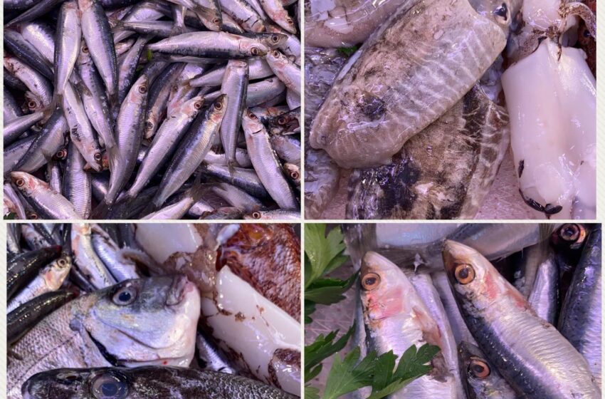  Sequestro in una pescheria: 20 chili di pesce di provenienza sconosciuta, donati ai meno abbienti