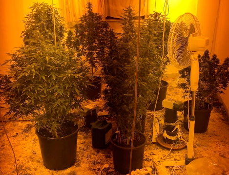 Siracusa. Un intero appartamento per coltivare marijuana indoor, valeva 45 mila euro. IL VIDEO