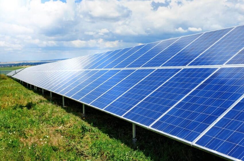  Impianti fotovoltaici a Francofonte: "Così uccidete l'agrumicoltura"