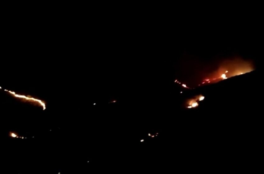  Rovinoso incendio nella notte ad Avola Antica, in Regione il tema della tutela dei boschi
