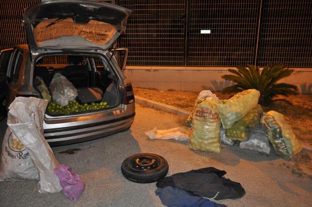 Avola. Furto di agrumi, la Polizia arresta tre catanesi con 900 kg di limoni