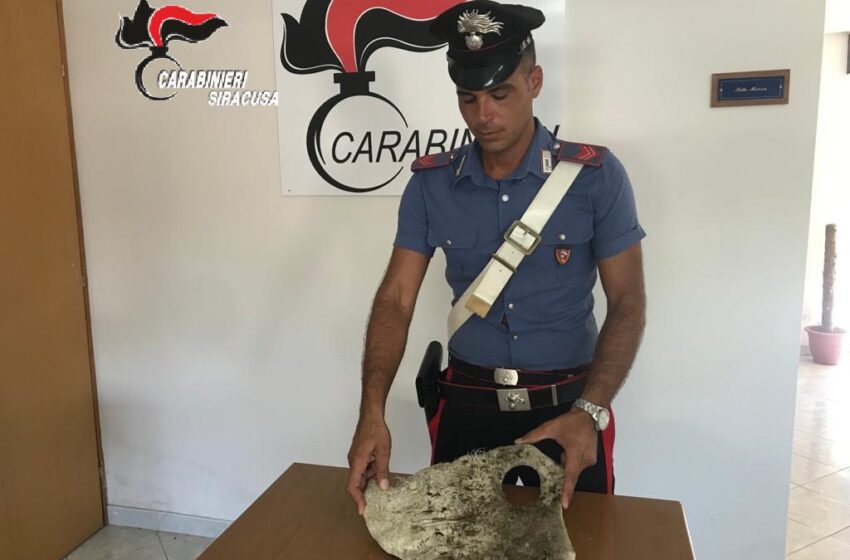  Immersione con scoperta, Carabiniere rinviene antica ancora a 9 metri di profondità