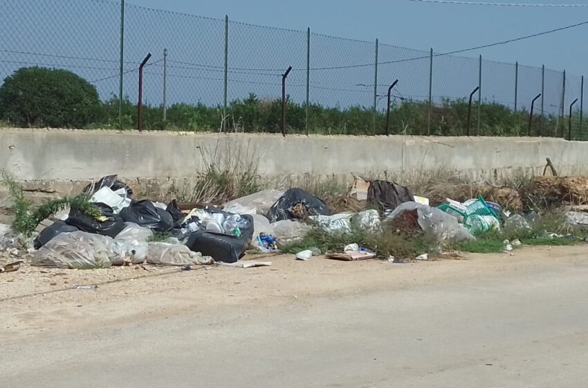  Siracusa.  Rifiuti, criticità e iniziative: il Comitato per la Differenziata fa il punto con i cittadini