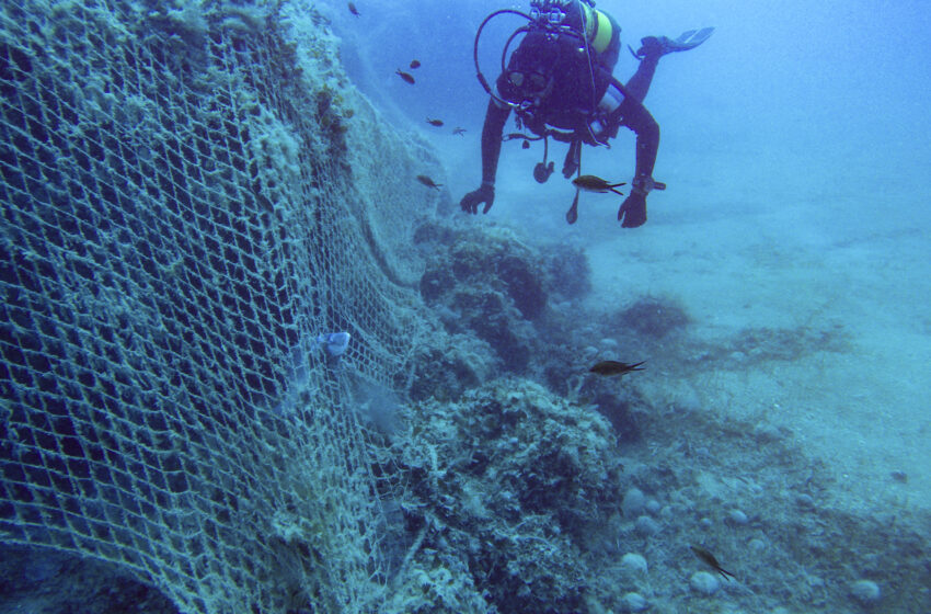  I palombari dello Sdai a difesa dell'ambiente marino: rimossa pericolosa rete da pesca