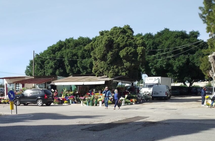  Siracusa. Ognissanti e Defunti, i fiorai del cimitero al lavoro: "Paura e pochi affari"