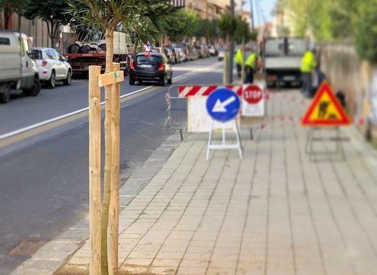  Siracusa. Tra febbraio e marzo il verde rinasce: Gradenigo, "nuove alberature ed essenze"