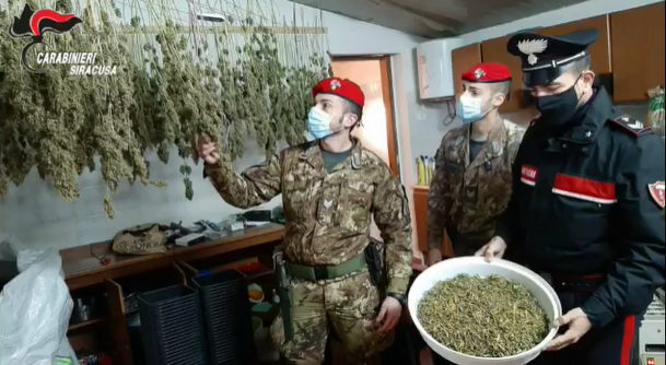  VIDEO. Operazione antidroga dei carabinieri: sequestrati 5 chili di marijuana, rinvenuto un pitone