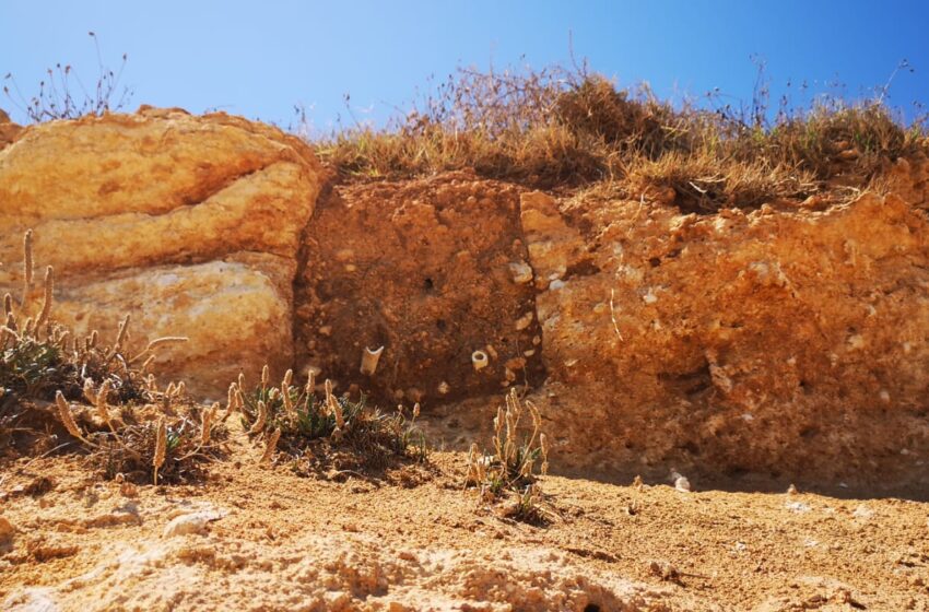  L'erosione della costa svela un'antica sepoltura: giallo archeologico