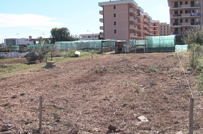  Siracusa. Tornano di moda gli orti sociali, tutti assegnati i lotti. "Eviteremo l'incuria"