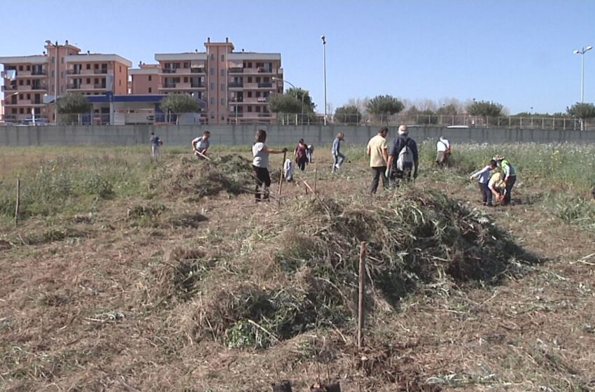  Siracusa. Come sta il Bosco delle Troiane? Oggi il secondo step con nuove piantumazioni