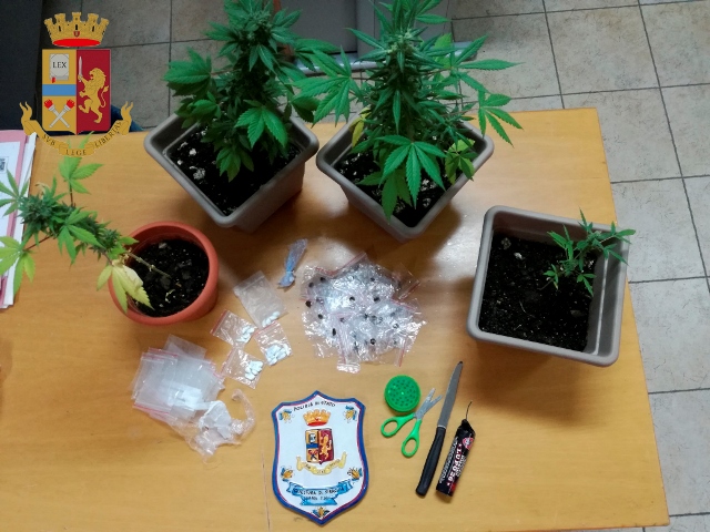  Siracusa. Piante di marijuana,hashish e denaro: domiciliari per un 20enne