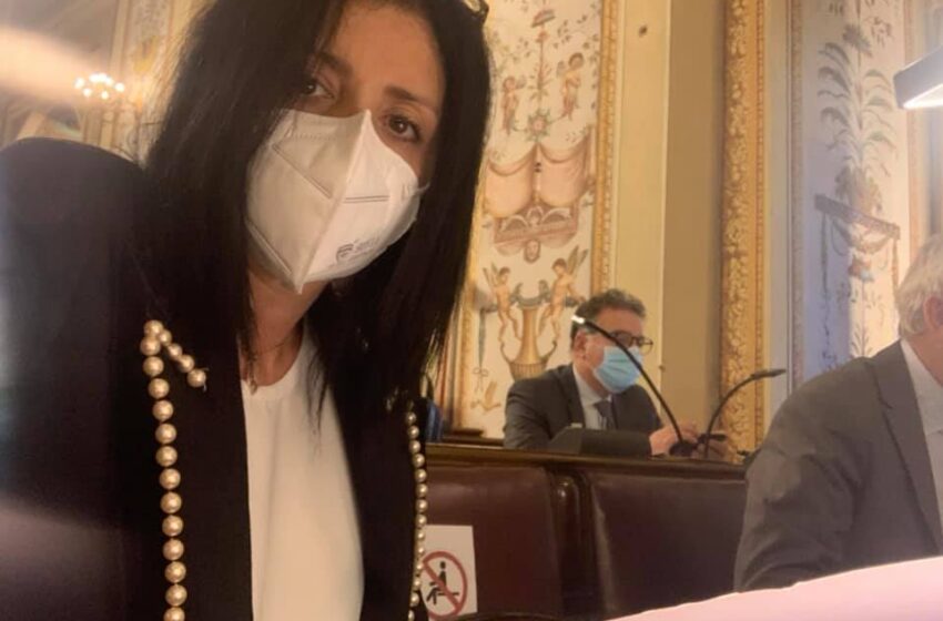  Daniela Ternullo (FI): “Ddl Irsap, non è automatico alcun aumento in bolletta”