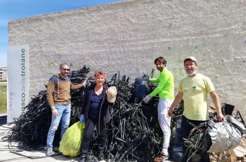  Siracusa. Ripulito il Bosco delle Troiane, entro Aprile l'impianto di irrigazione