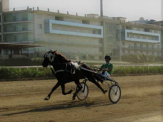  Ippica. Trotto. Giornata dedicata ai Gentleman all'Ippodromo del Mediterraneo: chiusura con II Tris e TQQ