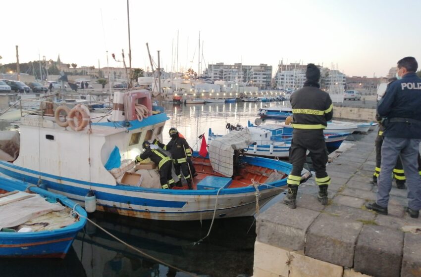  Siracusa. Quattro micetti soccorsi dai Vigili del Fuoco: nati su un motopesca, cercano casa