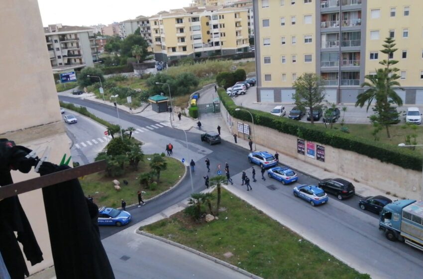  Siracusa. Maiali di via Algeri, 'blitz" per la cattura e trasferimento