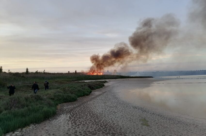  Brucia la riserva di Vendicari, incendio nella zona dei pantani: "accertare responsabilità"