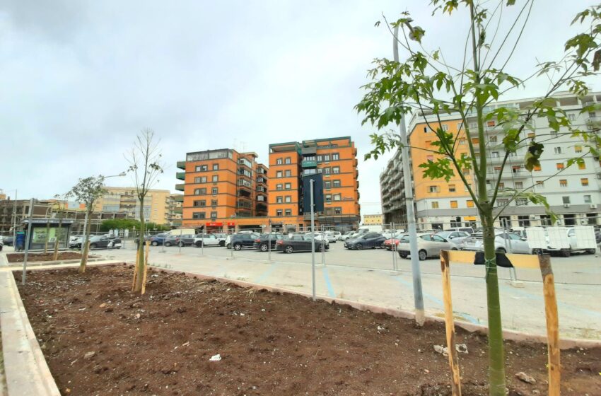  Siracusa. In dirittura d'arrivo i lavori in piazza Adda, pronta la nuova isola spartitraffico