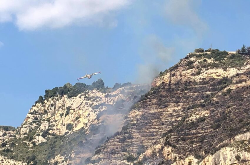  Incendio a Cava Tortone, denunciato il presunto autore identificato dal Corpo Forestale