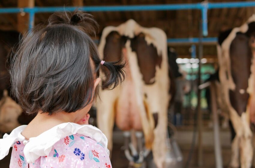  Siracusa. Agriturismi al collasso per il Covid, Bandiera: "Subito nuovi aiuti"