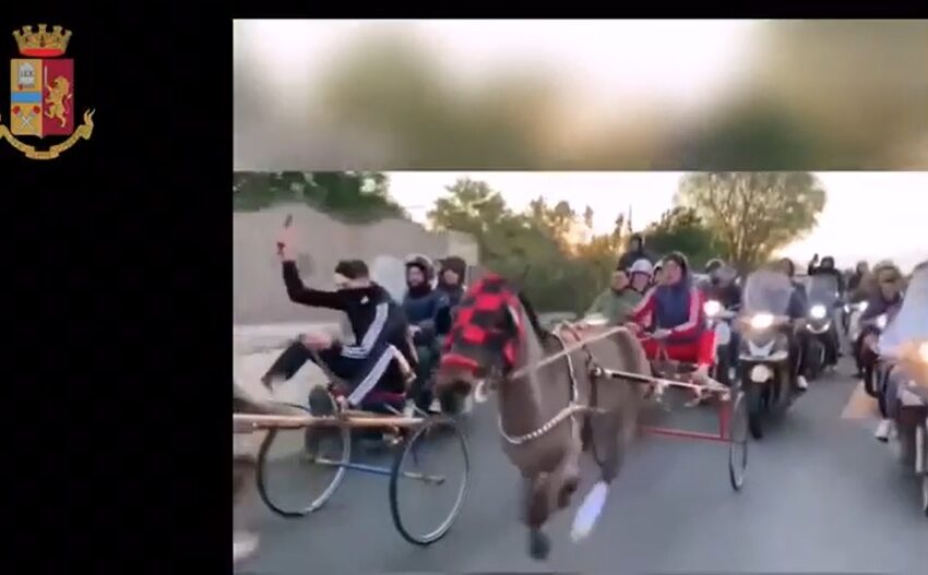  Corsa clandestina di cavalli, da un video alla denuncia: identificato "fantino" 17enne