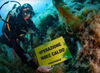  Siracusa. Progetto Mare Caldo di Greenpeace, il Plemmirio tra le acque monitorate