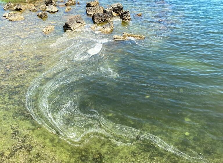  Mucillagine a Levante, torna lo strano fenomeno: sollecitati controlli