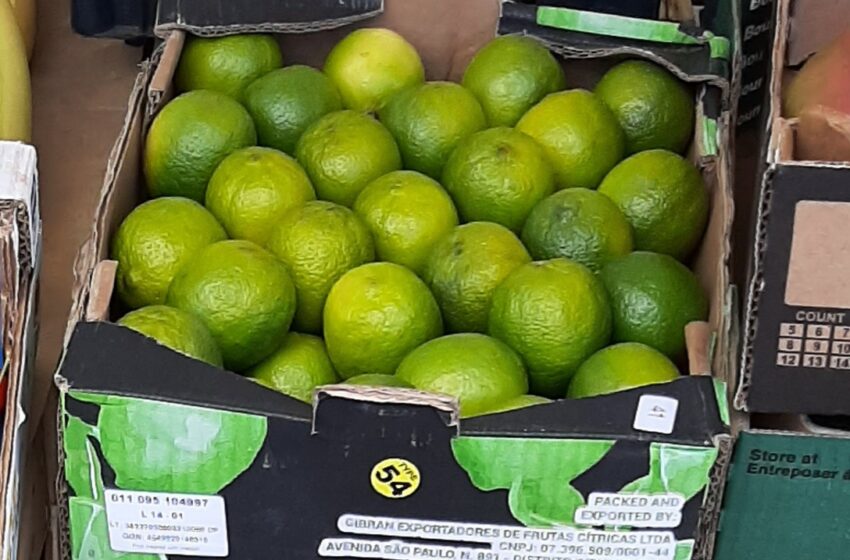 "Il limone di Siracusa invenduto, al mercato spopola quello brasiliano: battaglia per la tutela dei nostri prodotti"