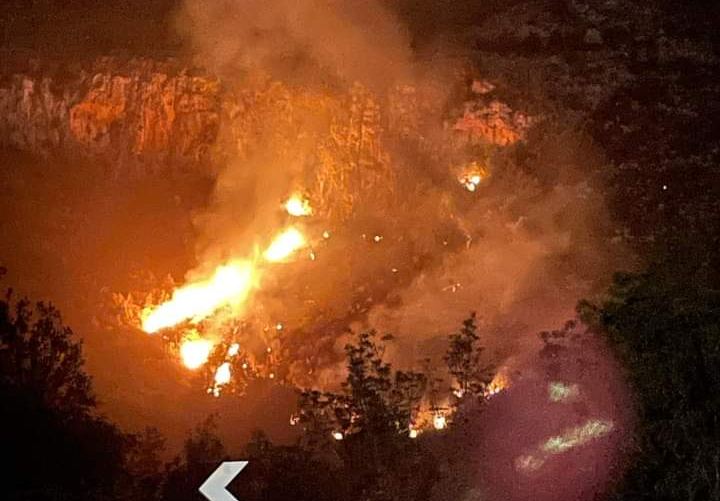  Valle dell'Anapo devastata dai roghi, l'eurodeputato Corrao: "incendio doloso, Regione impreparata"