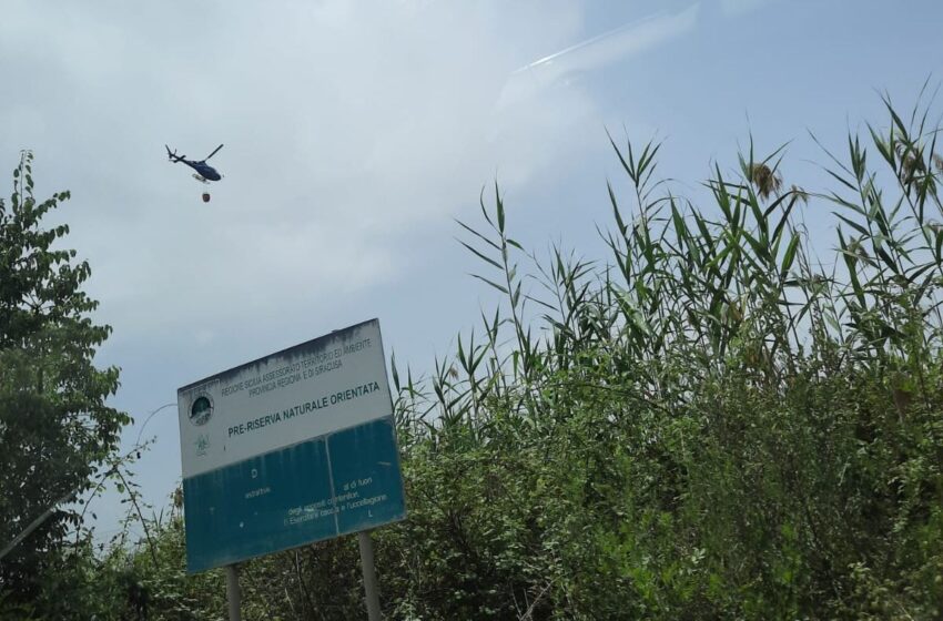  Emergenza incendi, ancora a fuoco la riserva del Ciane: anche due elicotteri per lo spegnimento