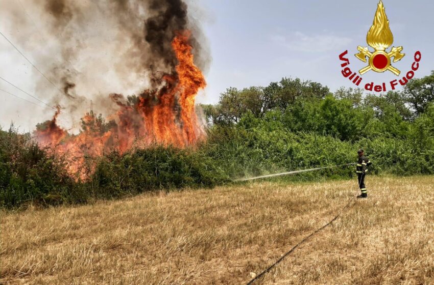  Siracusa. Telerilevamento incendi nella riserva Ciane: ci sono i fondi